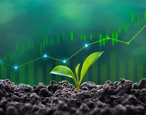 Almoallam Environmental Sustainability